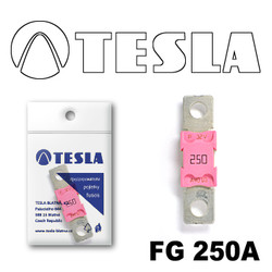 FG250A Tesla