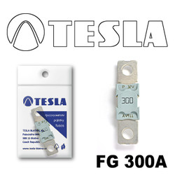 FG300A Tesla