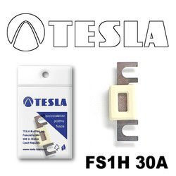 FS1H30A Tesla